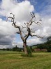 Scenery in the Chess Valley