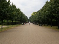 Image from Elephant & Castle to Willedsen Junction