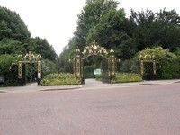 Image from Elephant & Castle to Willedsen Junction