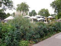 Image from Elephant & Castle to Willedsen Junction
