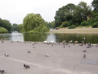 Image from Elephant & Castle to Willedsen Junction