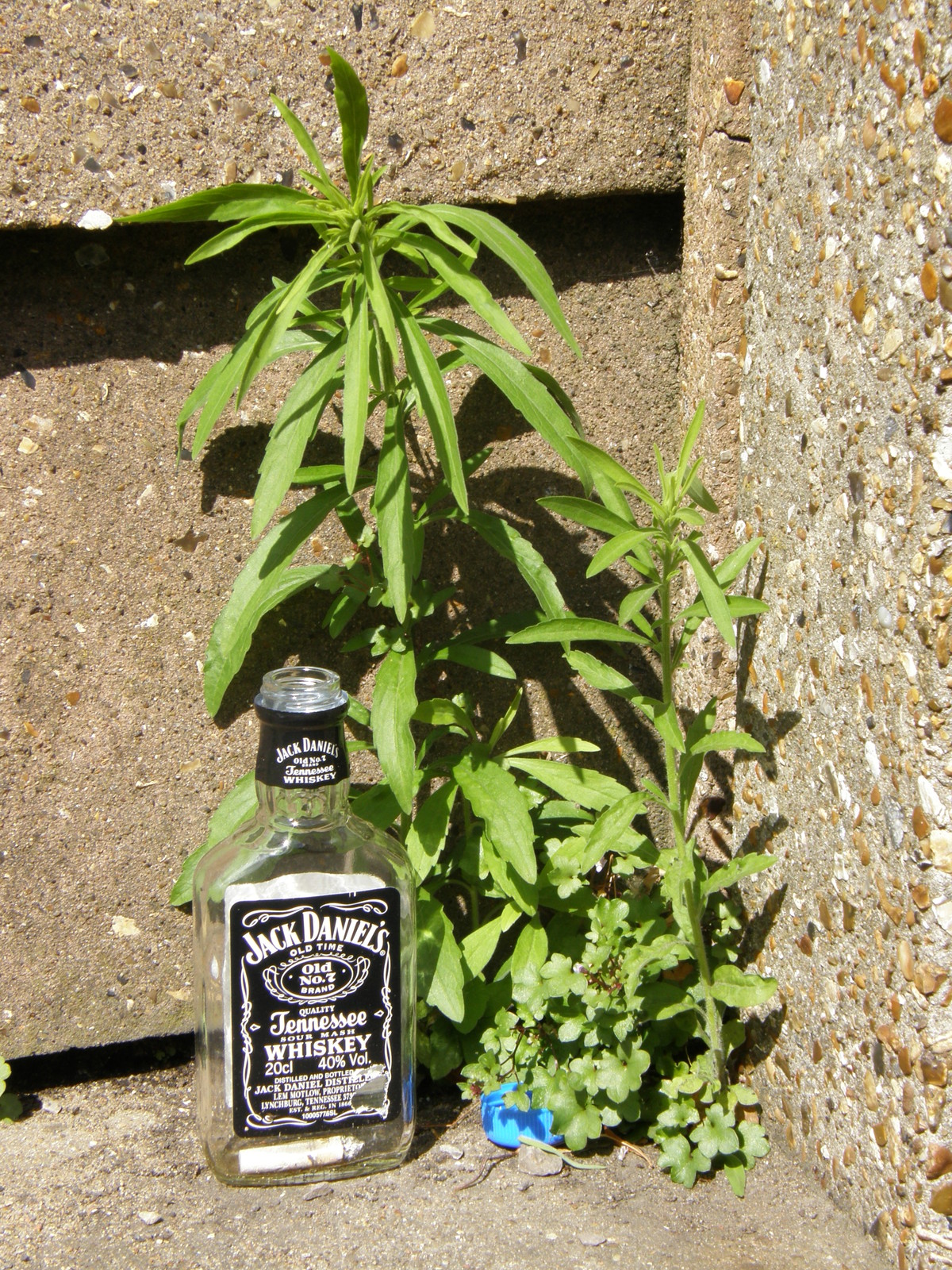 A Jack Daniel's bottle