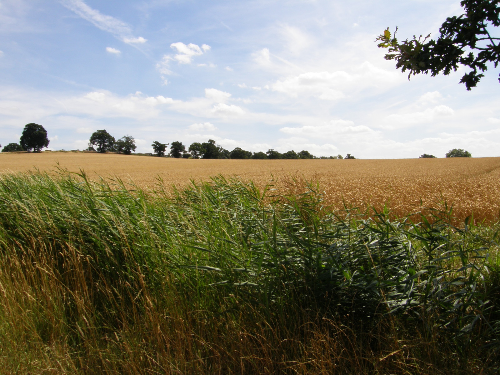 Image from Barkingside to Woodford