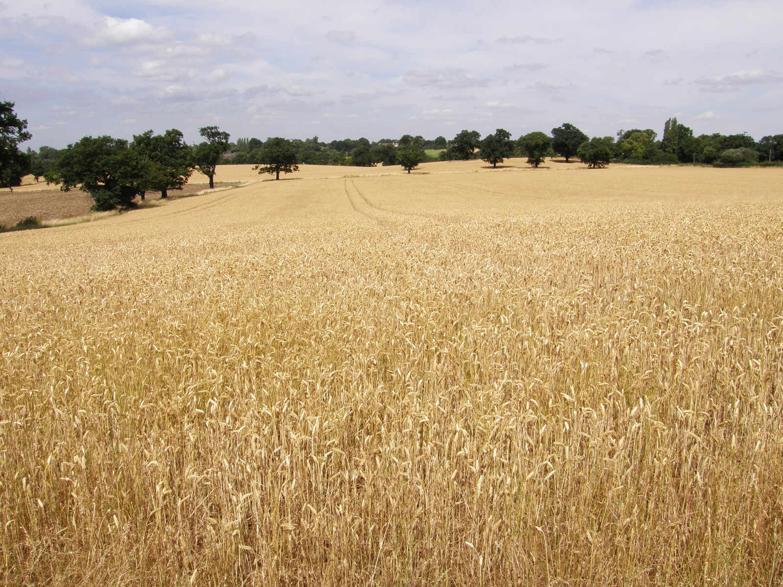 Image from Barkingside to Woodford