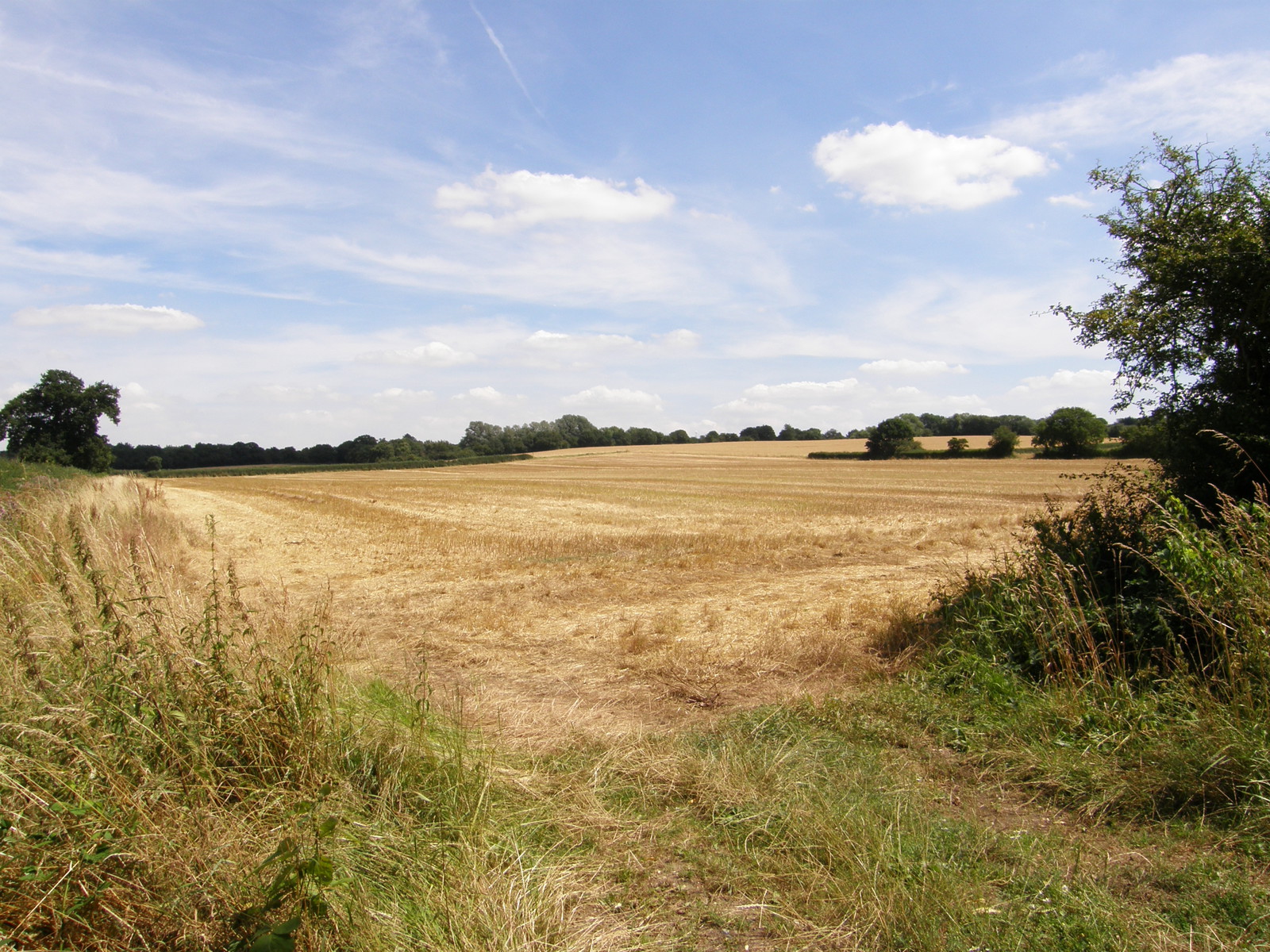 Image from Barkingside to Woodford