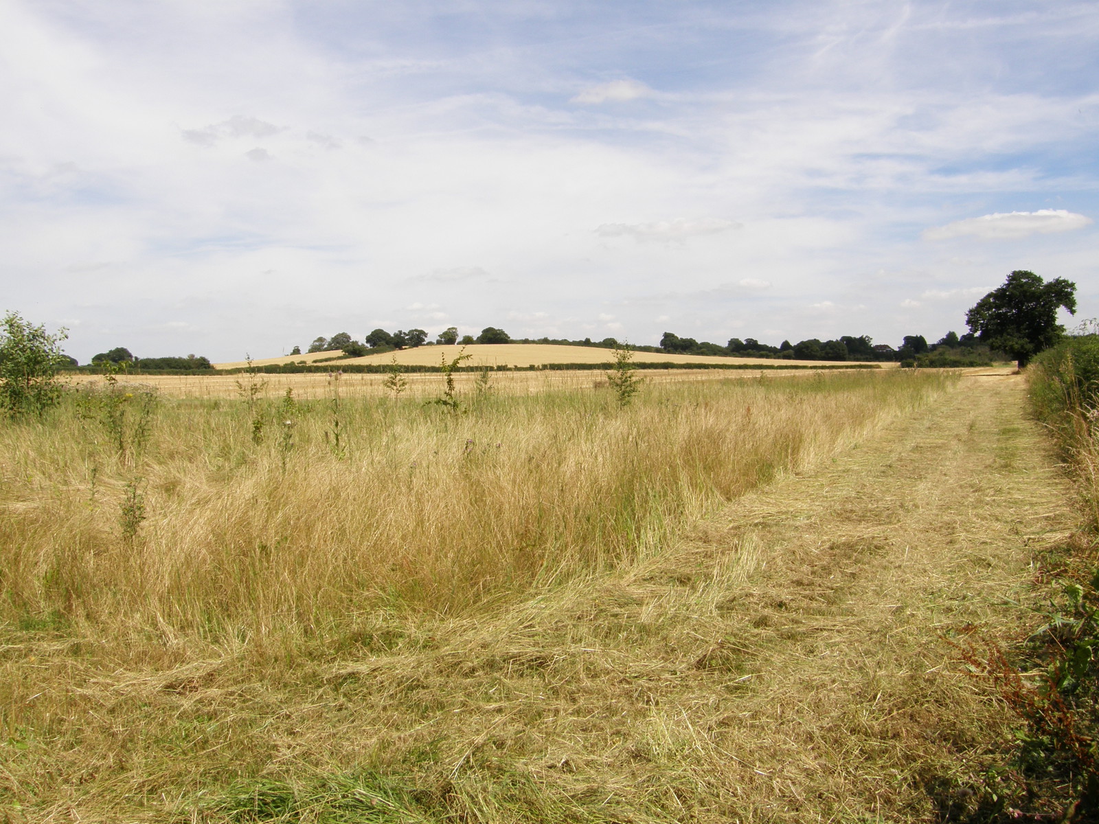 Image from Barkingside to Woodford