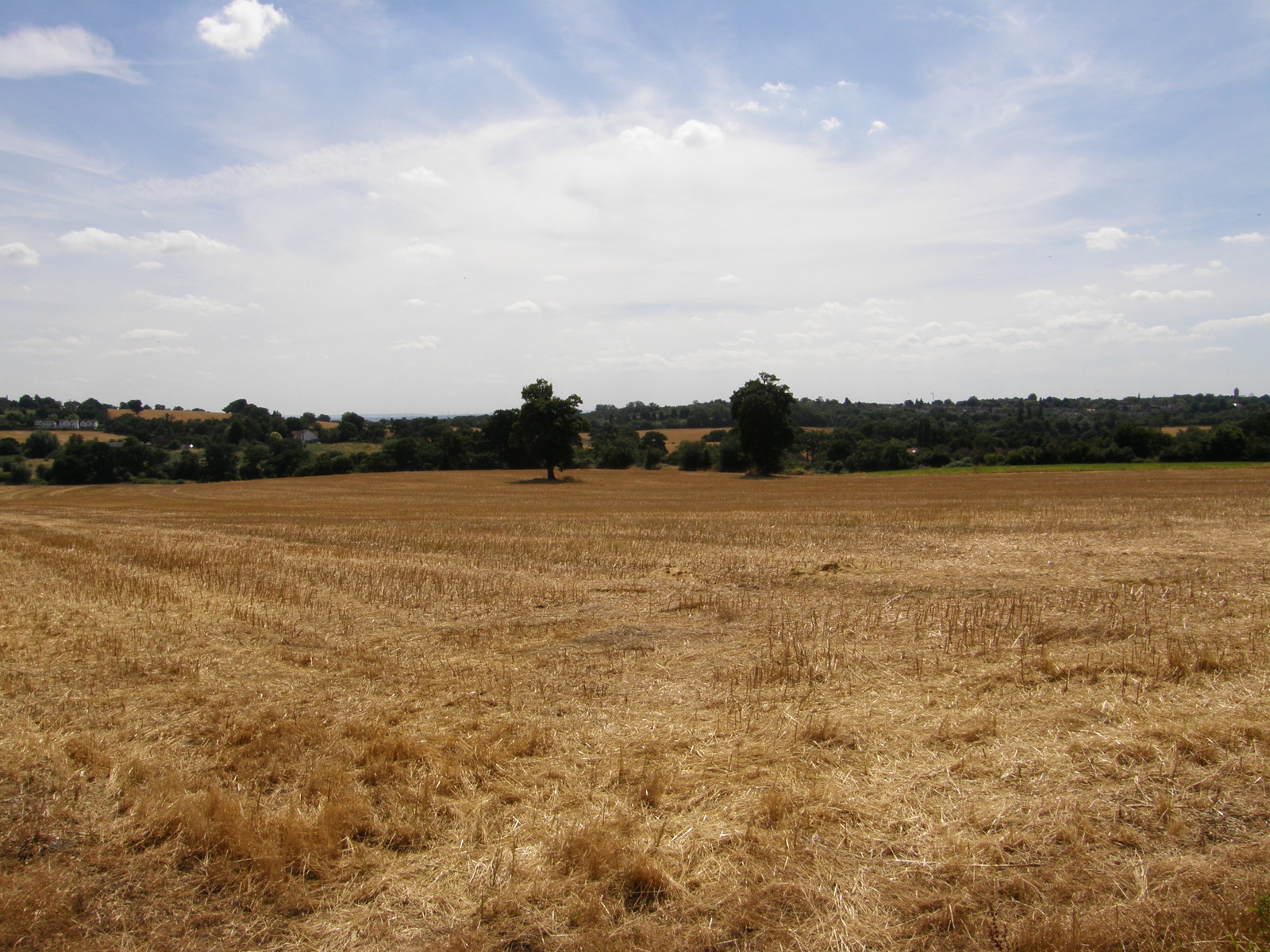 Image from Barkingside to Woodford