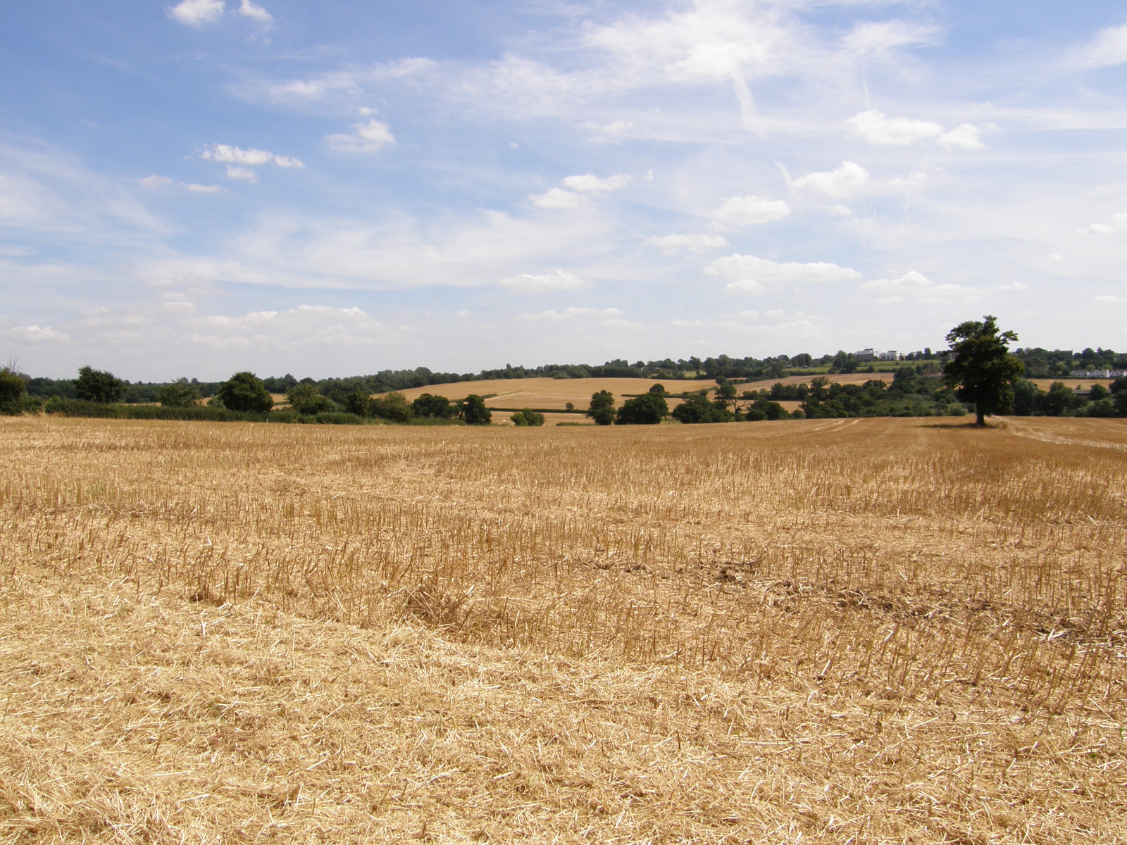 Fields near Grange Hill