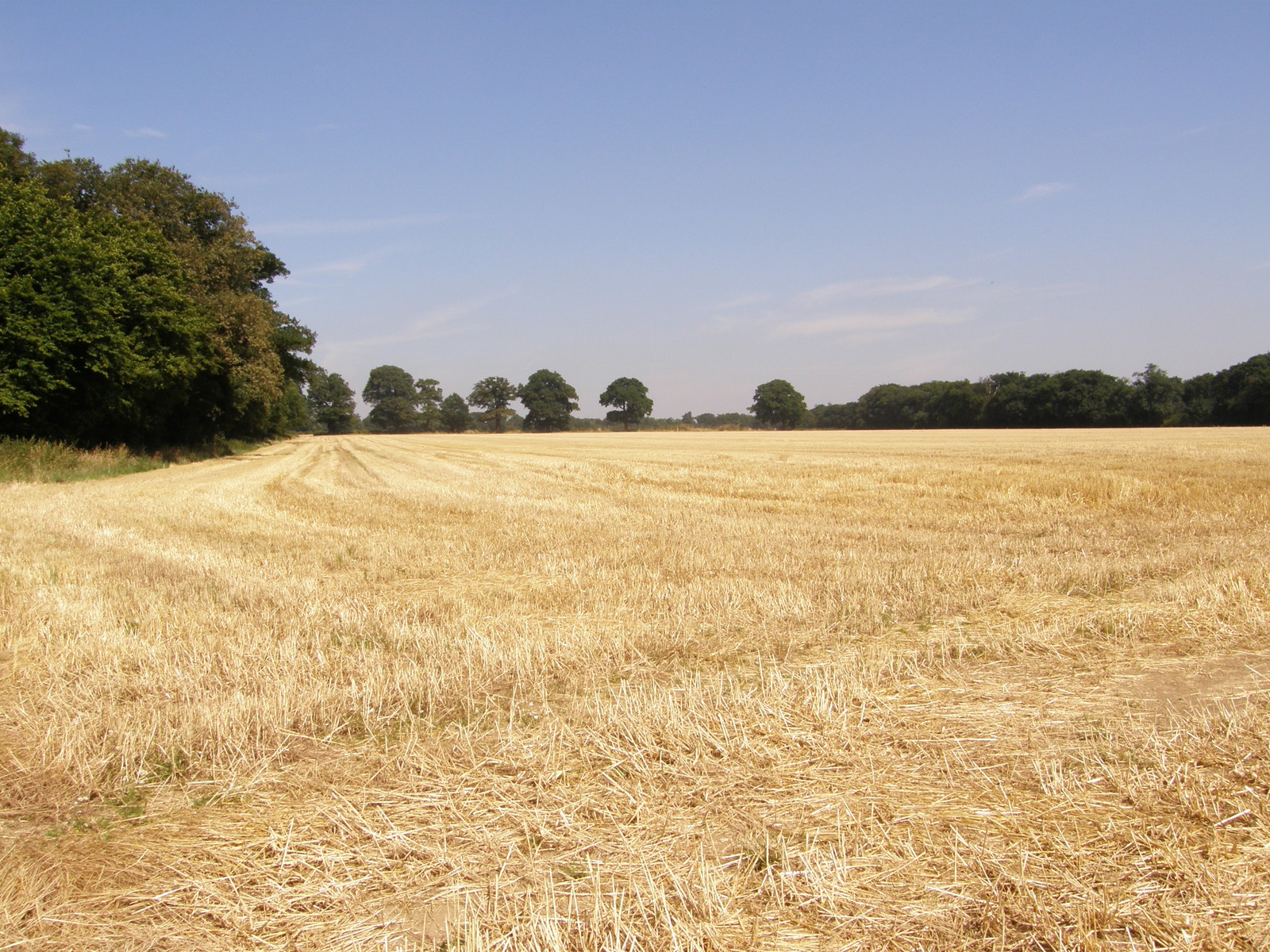 Image from Debden to Epping