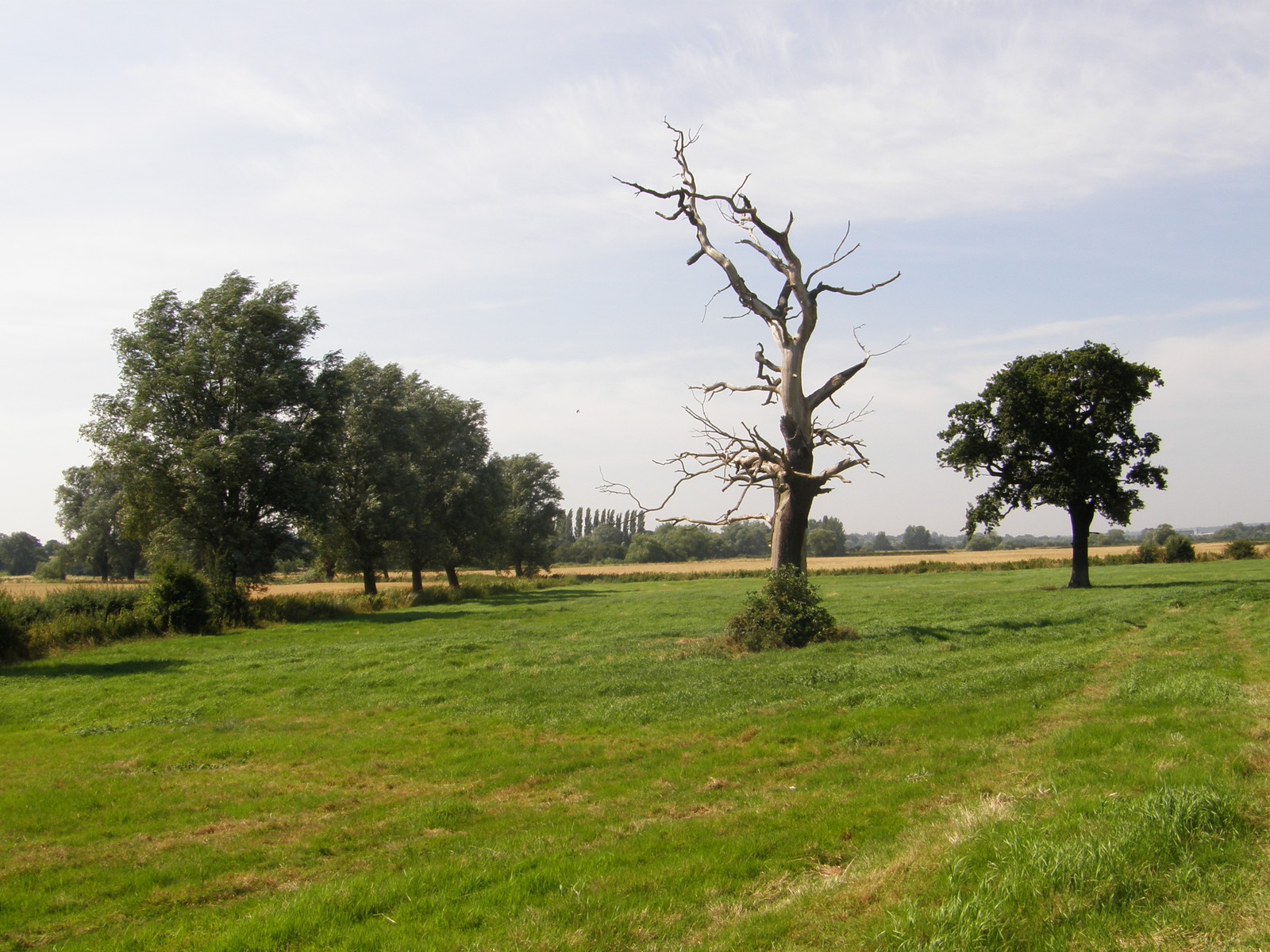 Image from Debden to Epping