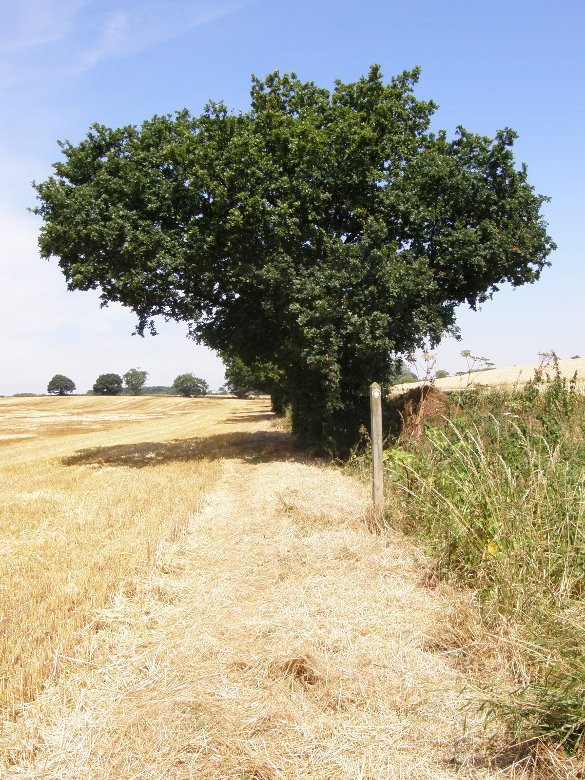 Image from Debden to Epping