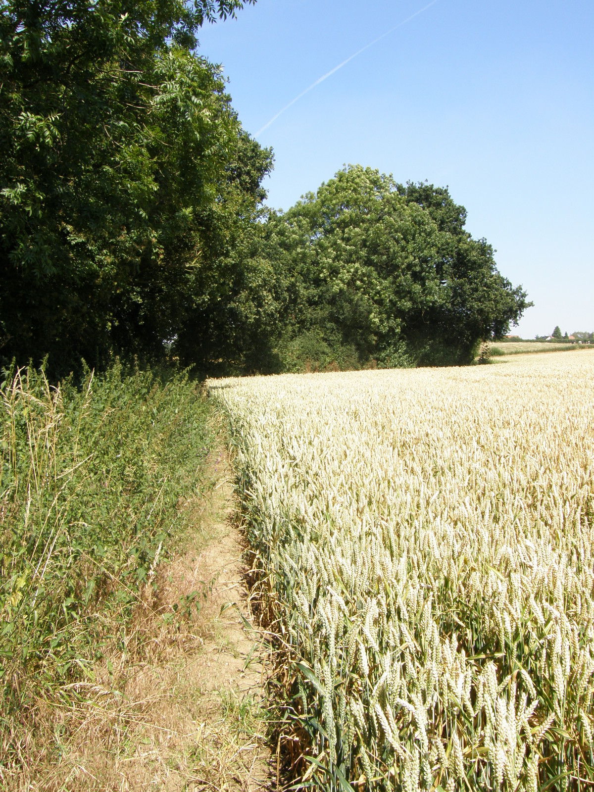 Image from Debden to Epping