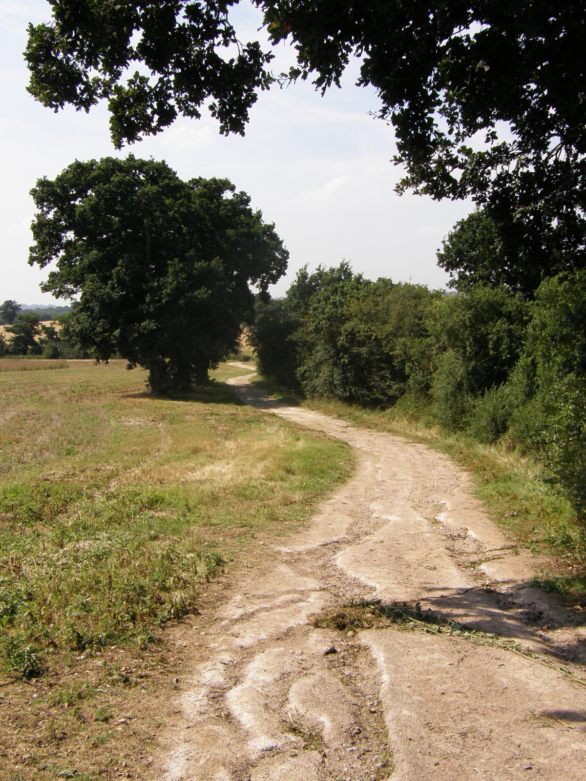 Image from Debden to Epping