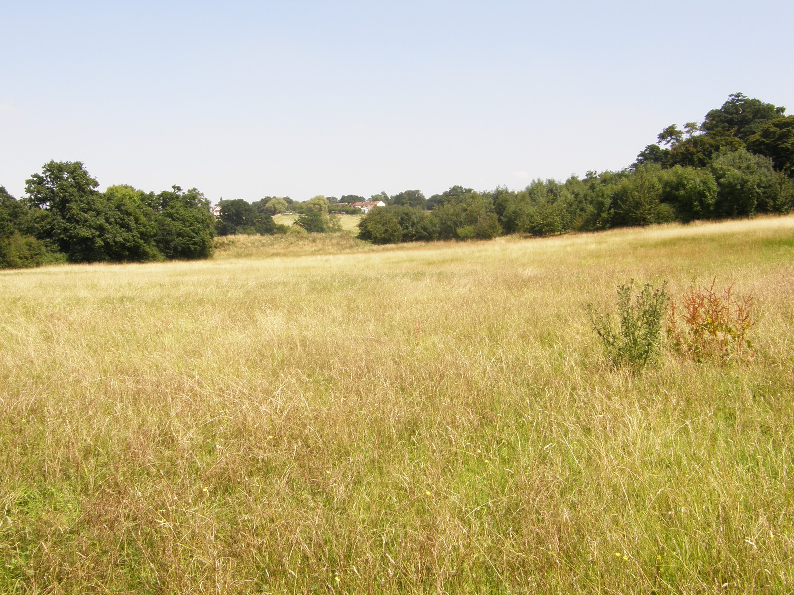 Image from Debden to Epping