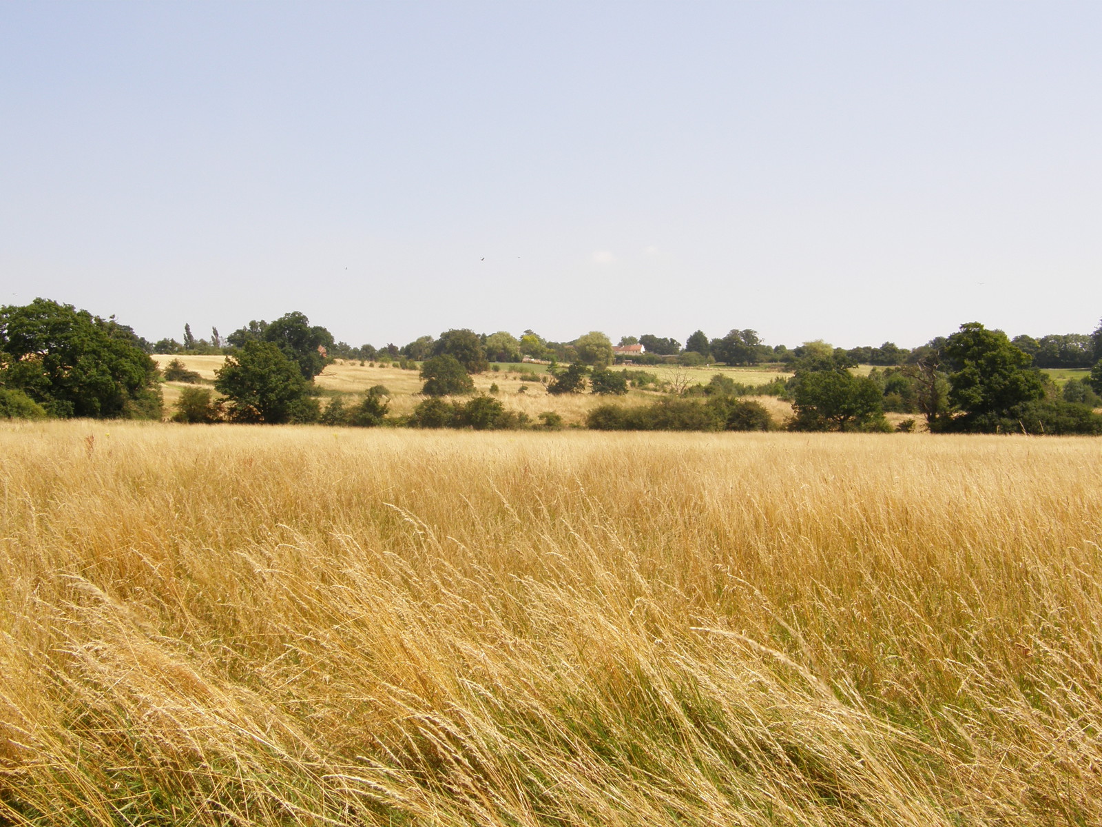 Image from Debden to Epping