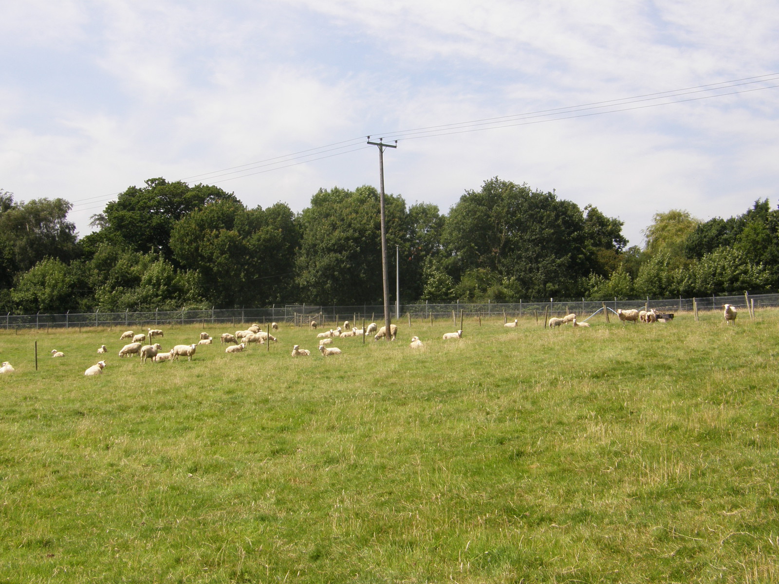 Image from Debden to Epping