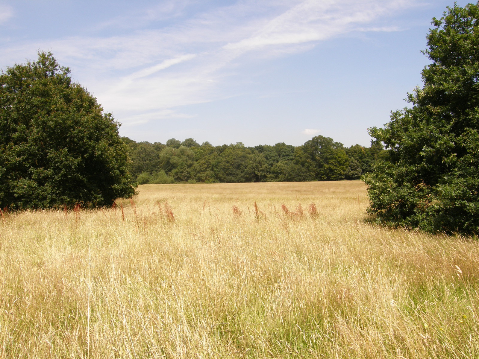 Image from Debden to Epping