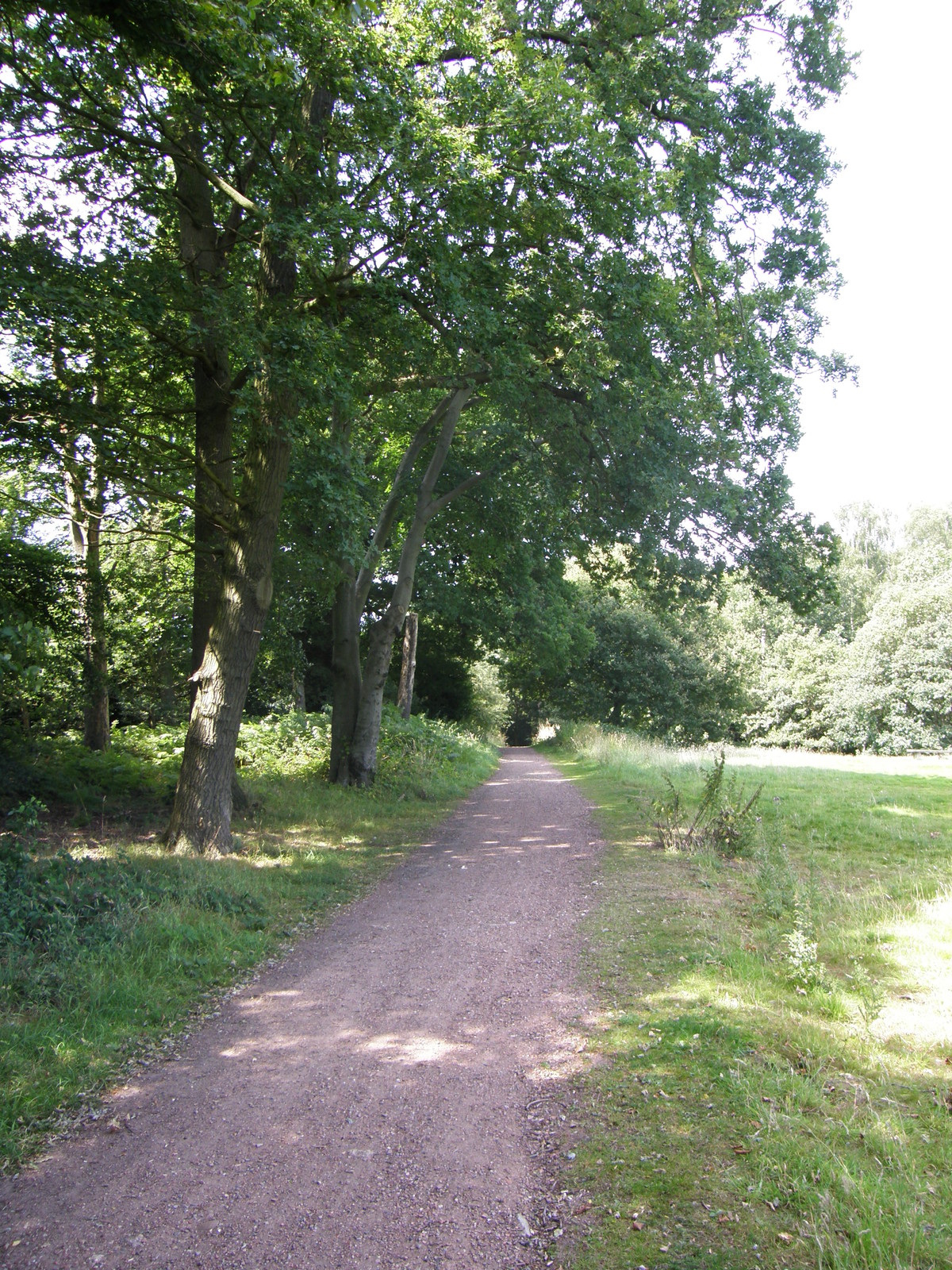Image from Debden to Epping