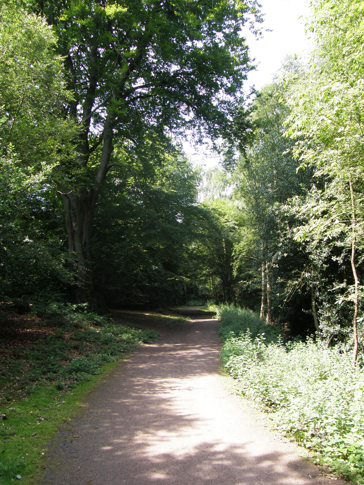 Image from Debden to Epping