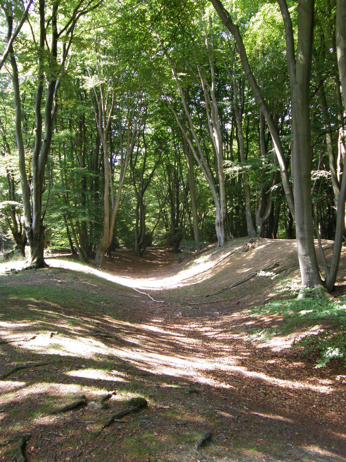 Image from Debden to Epping