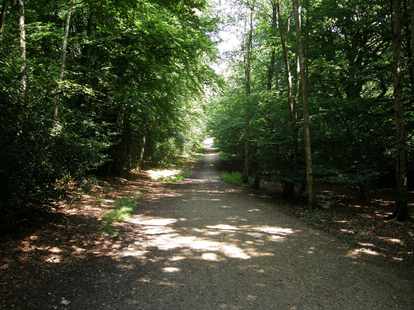 Image from Debden to Epping