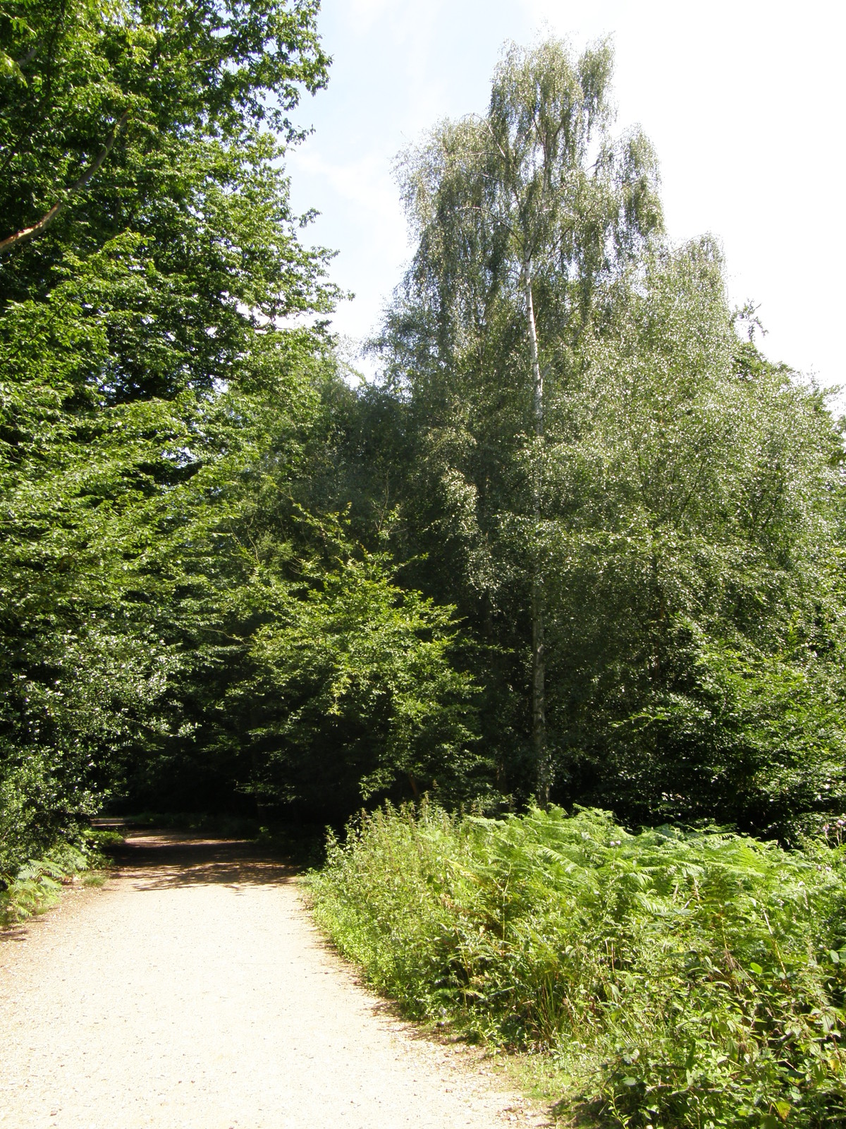 Image from Debden to Epping