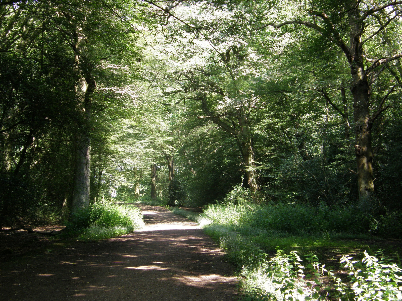 Image from Debden to Epping