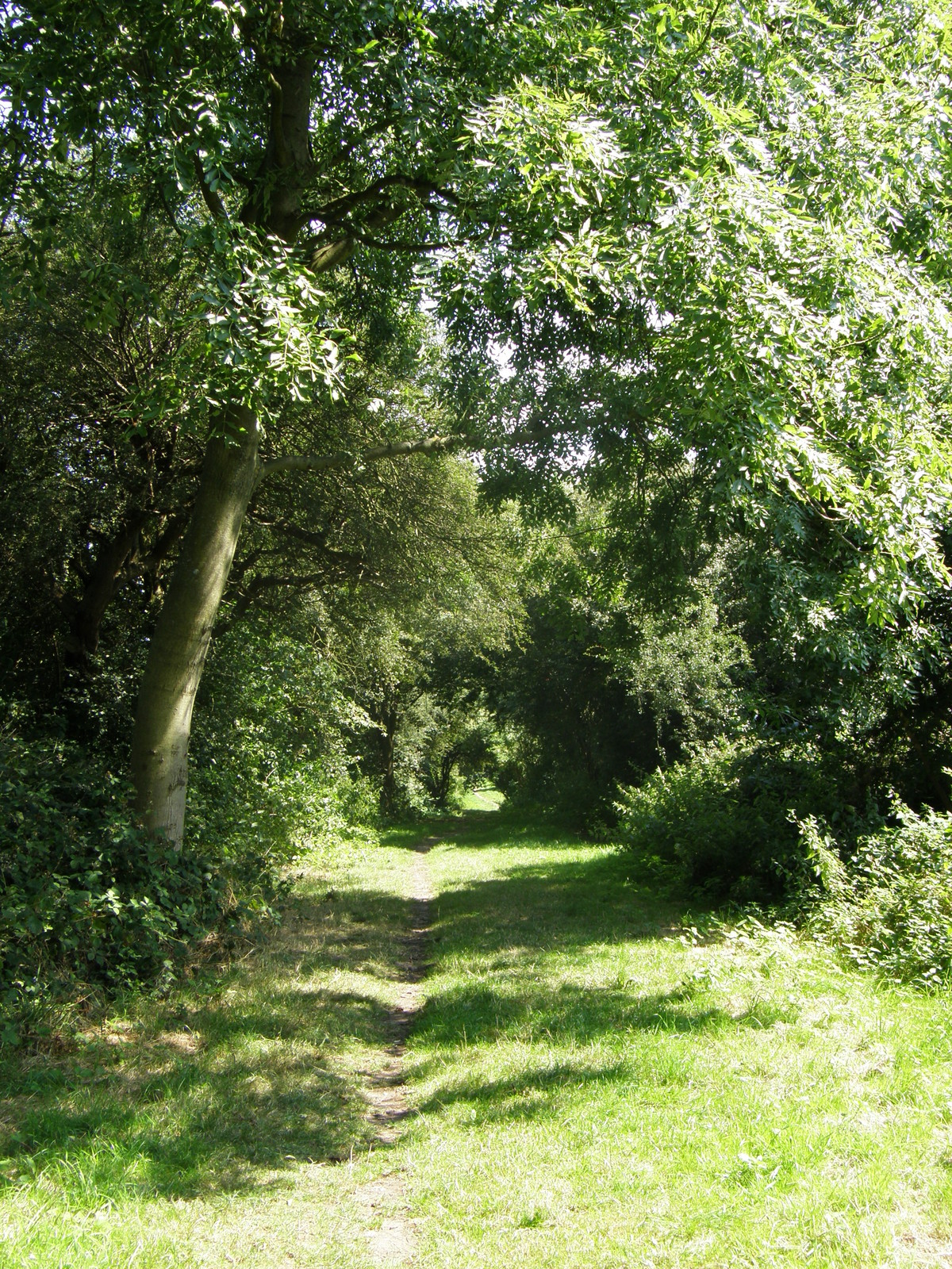 Image from Debden to Epping