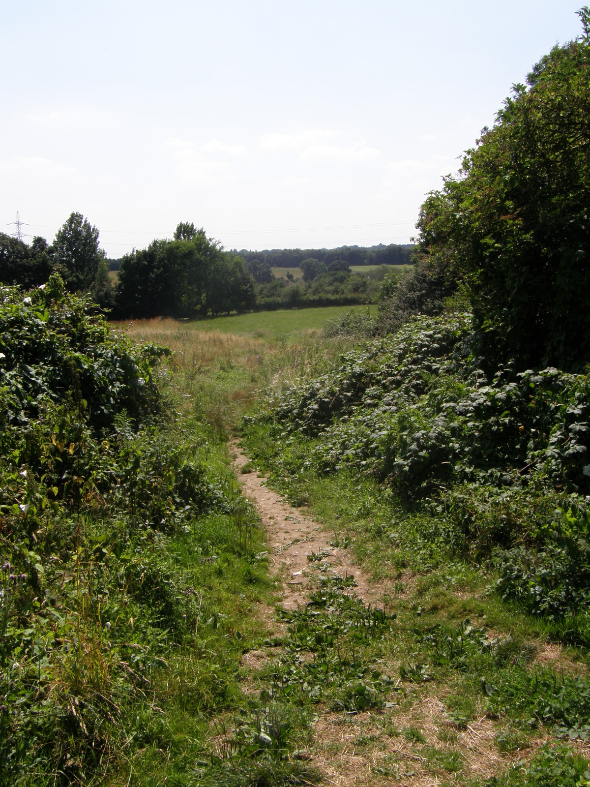 Image from Debden to Epping