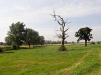 Image from Debden to Epping