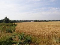 Image from Debden to Epping