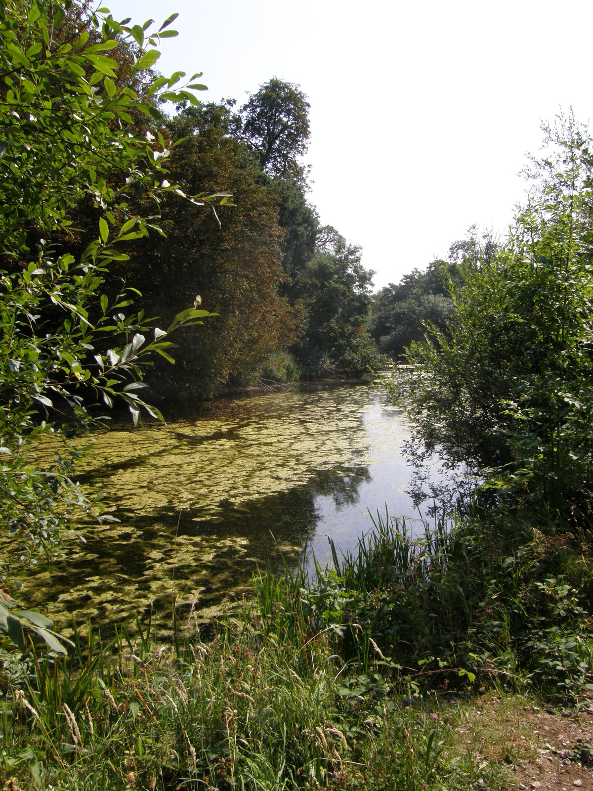 Wanstead Park