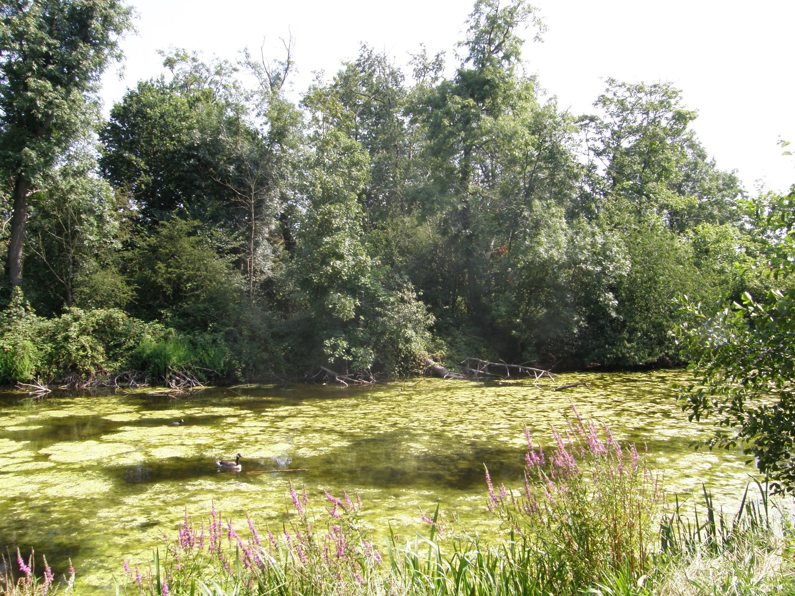 Image from Leytonstone to Barkingside