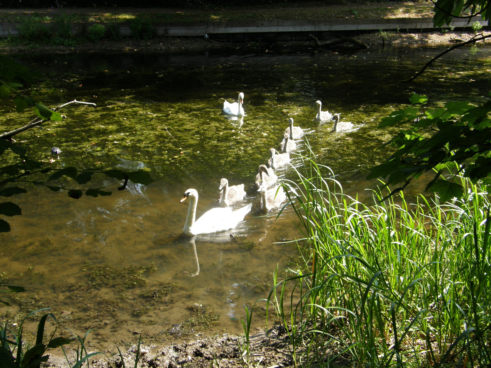 Image from Leytonstone to Barkingside