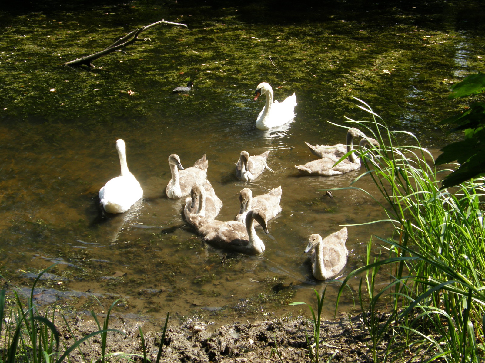 Image from Leytonstone to Barkingside