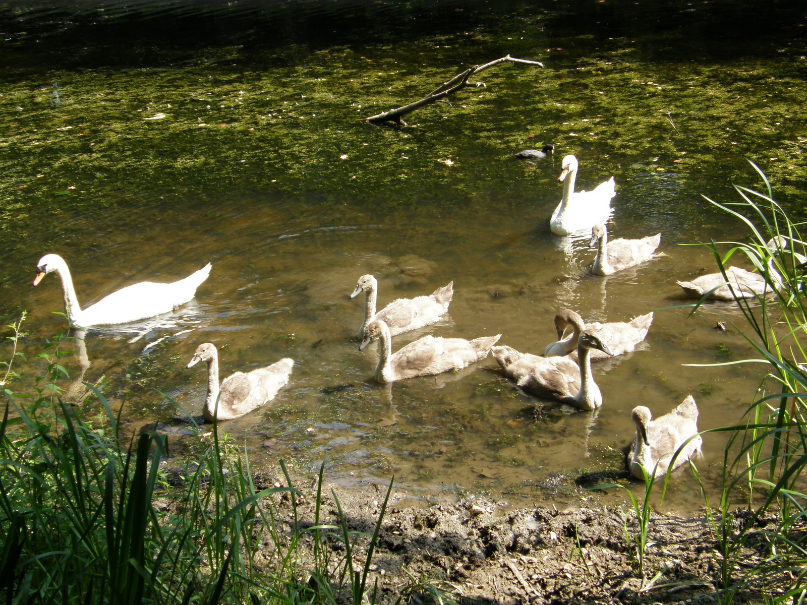 Image from Leytonstone to Barkingside