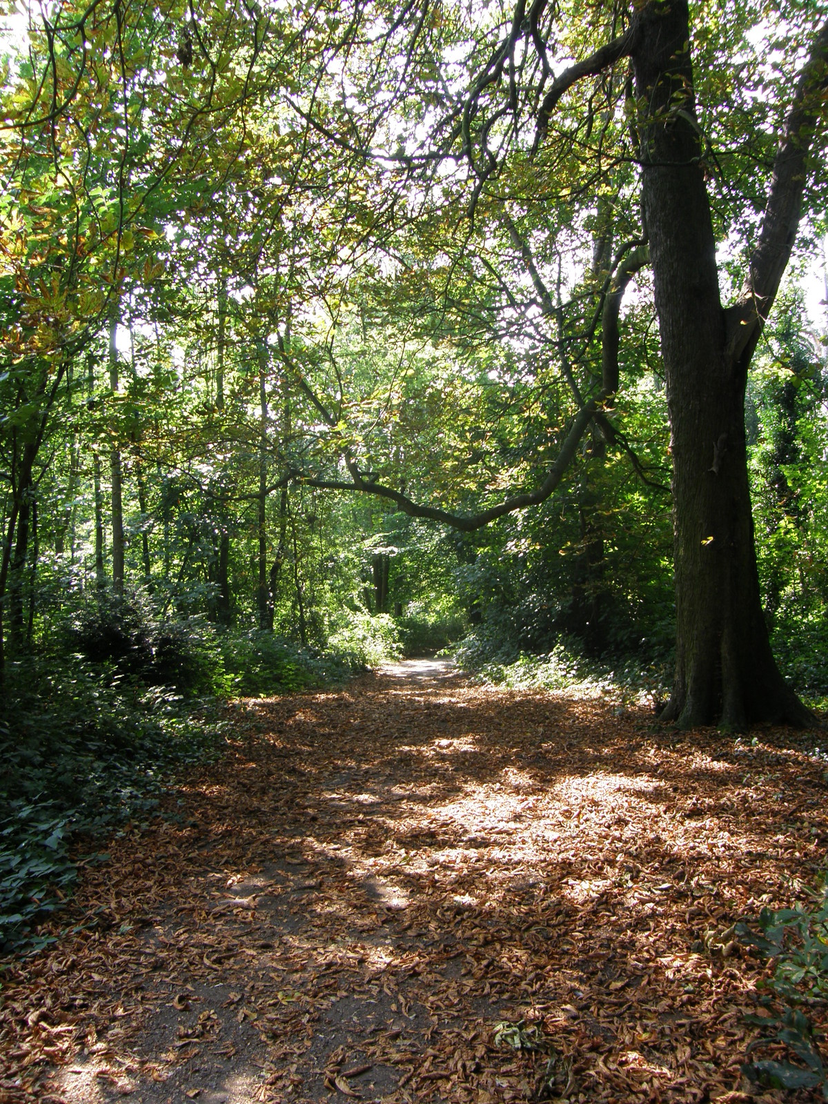 Image from Leytonstone to Barkingside