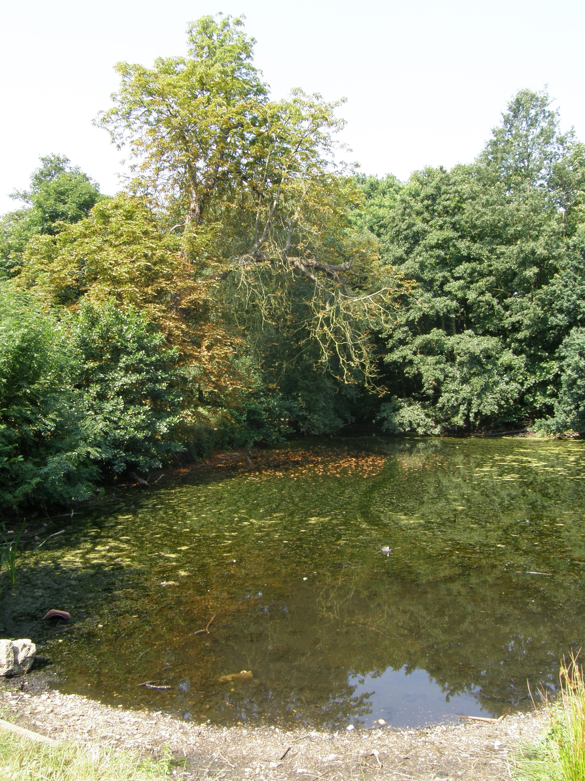 Image from Leytonstone to Barkingside