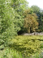 Image from Leytonstone to Barkingside