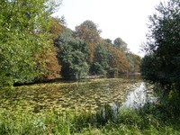 Wanstead Park