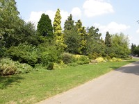 Image from Leytonstone to Barkingside