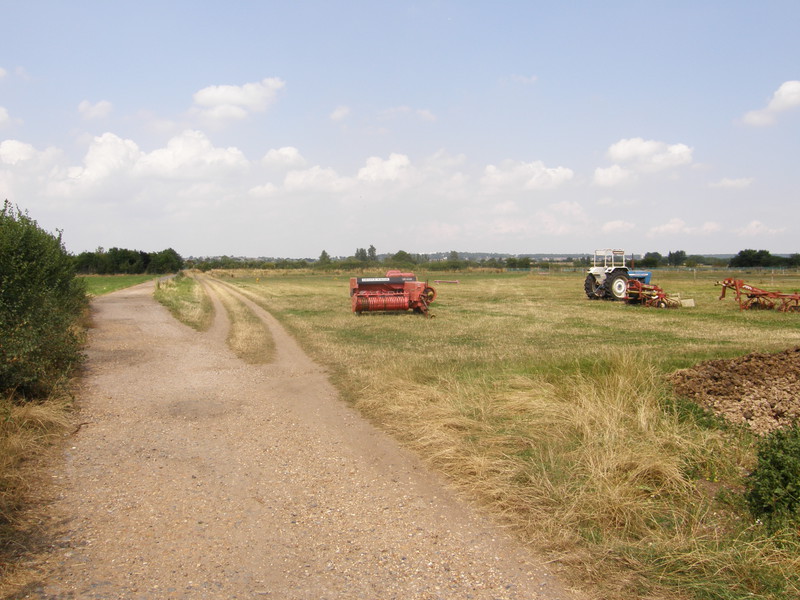 Fields near Aldborough House Farm