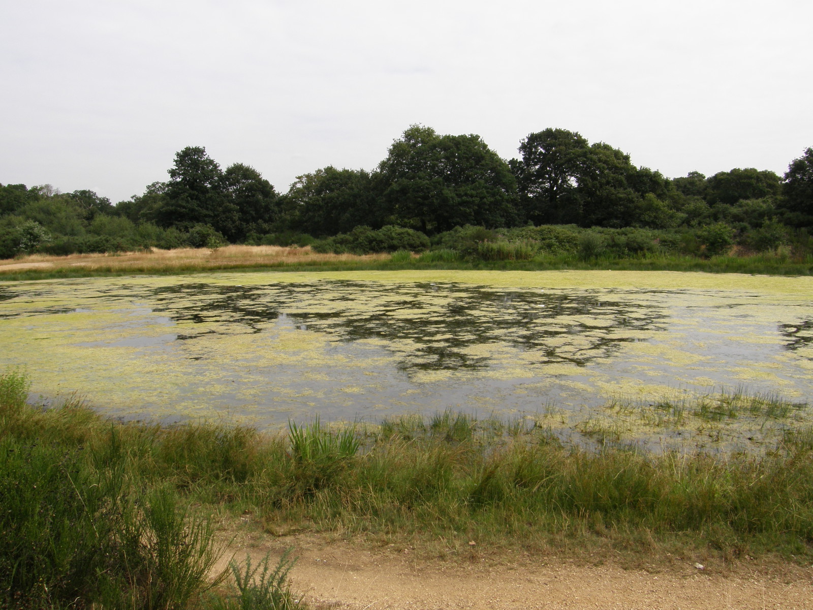 Image from Leytonstone to Debden