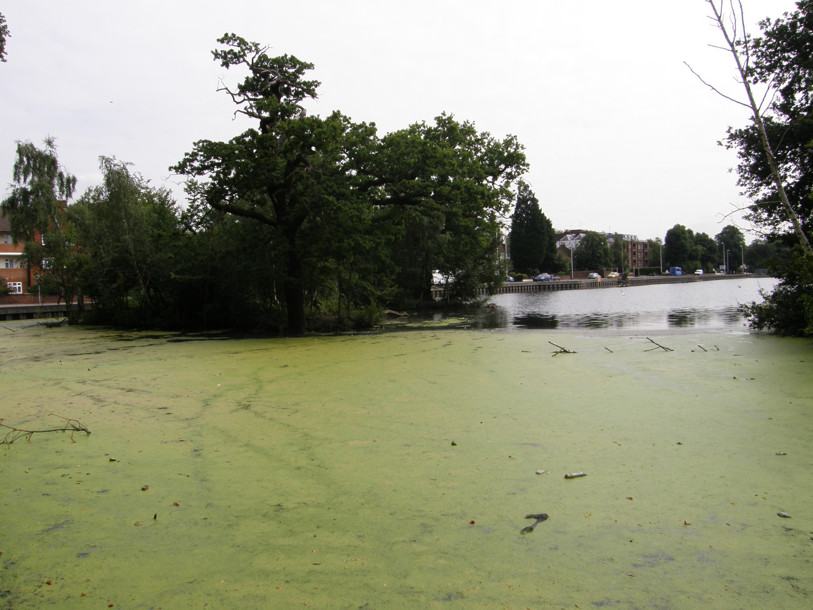 Image from Leytonstone to Debden