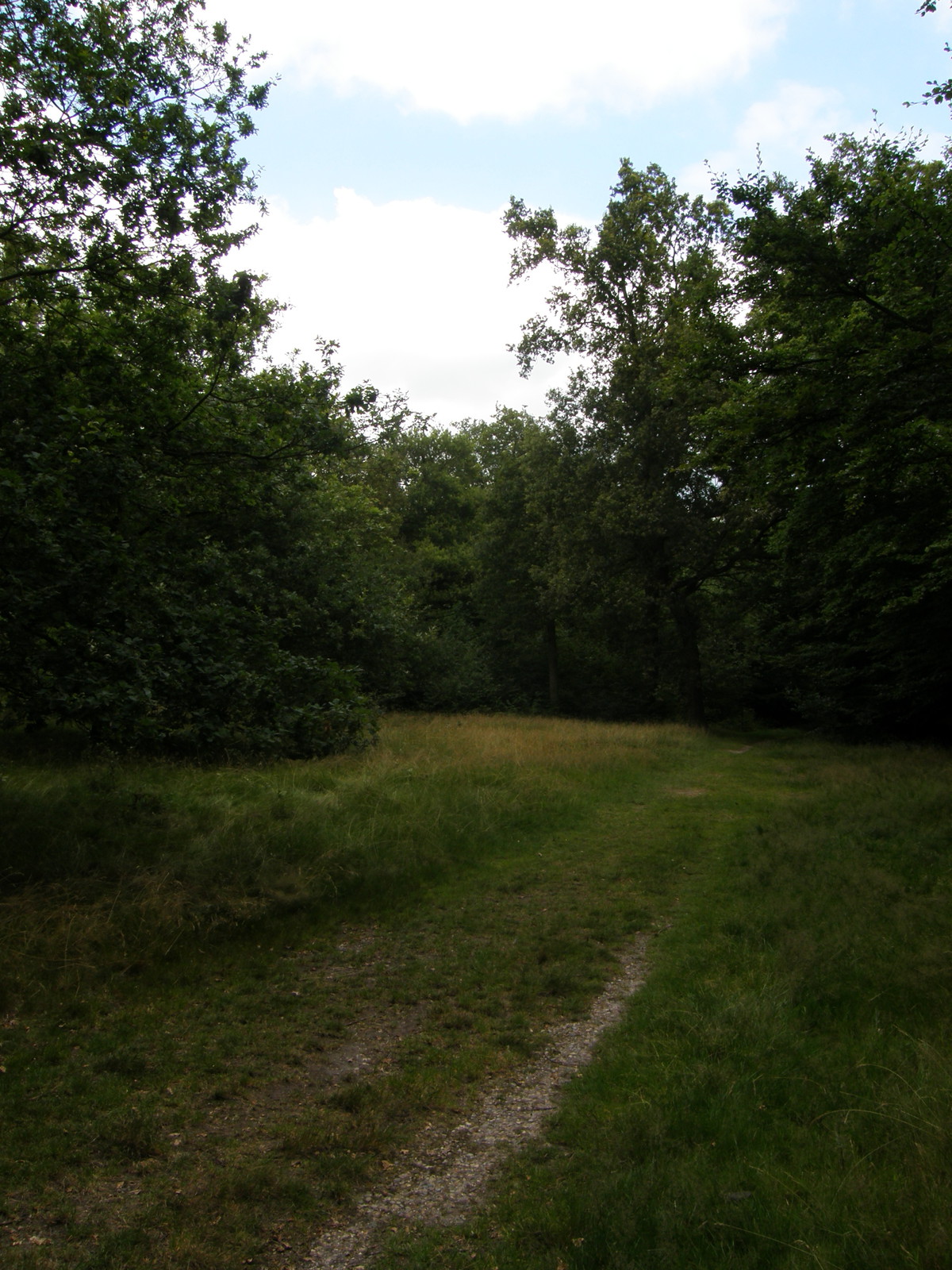 Image from Leytonstone to Debden