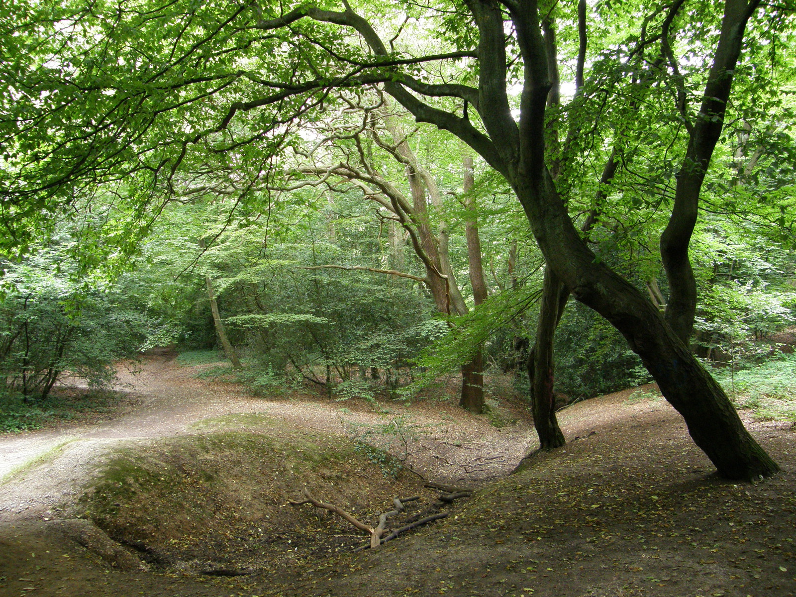 Image from Leytonstone to Debden
