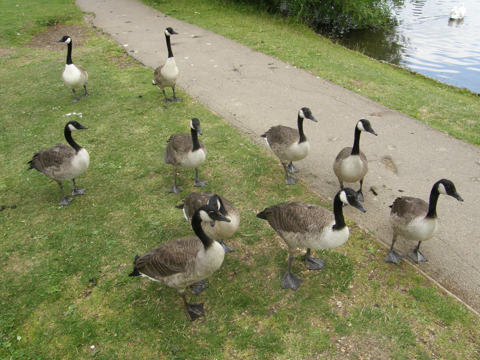 Image from Leytonstone to Debden