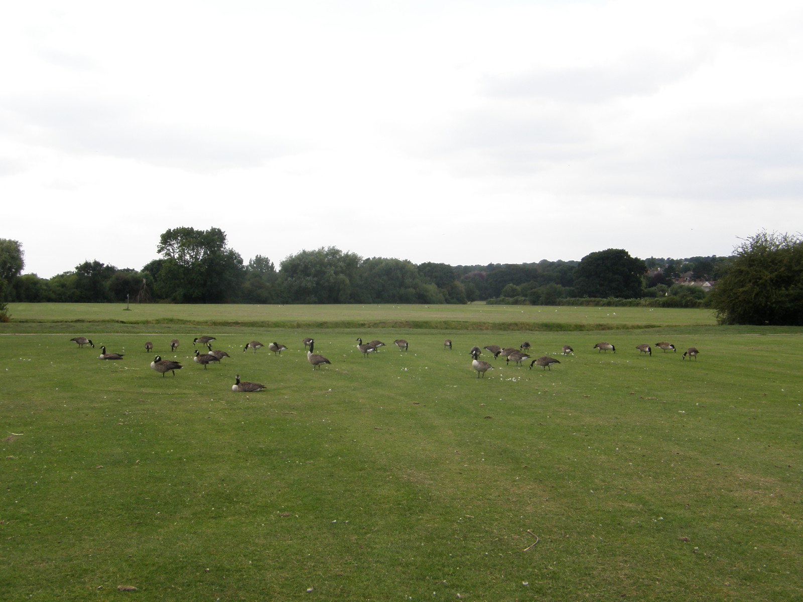 Image from Leytonstone to Debden