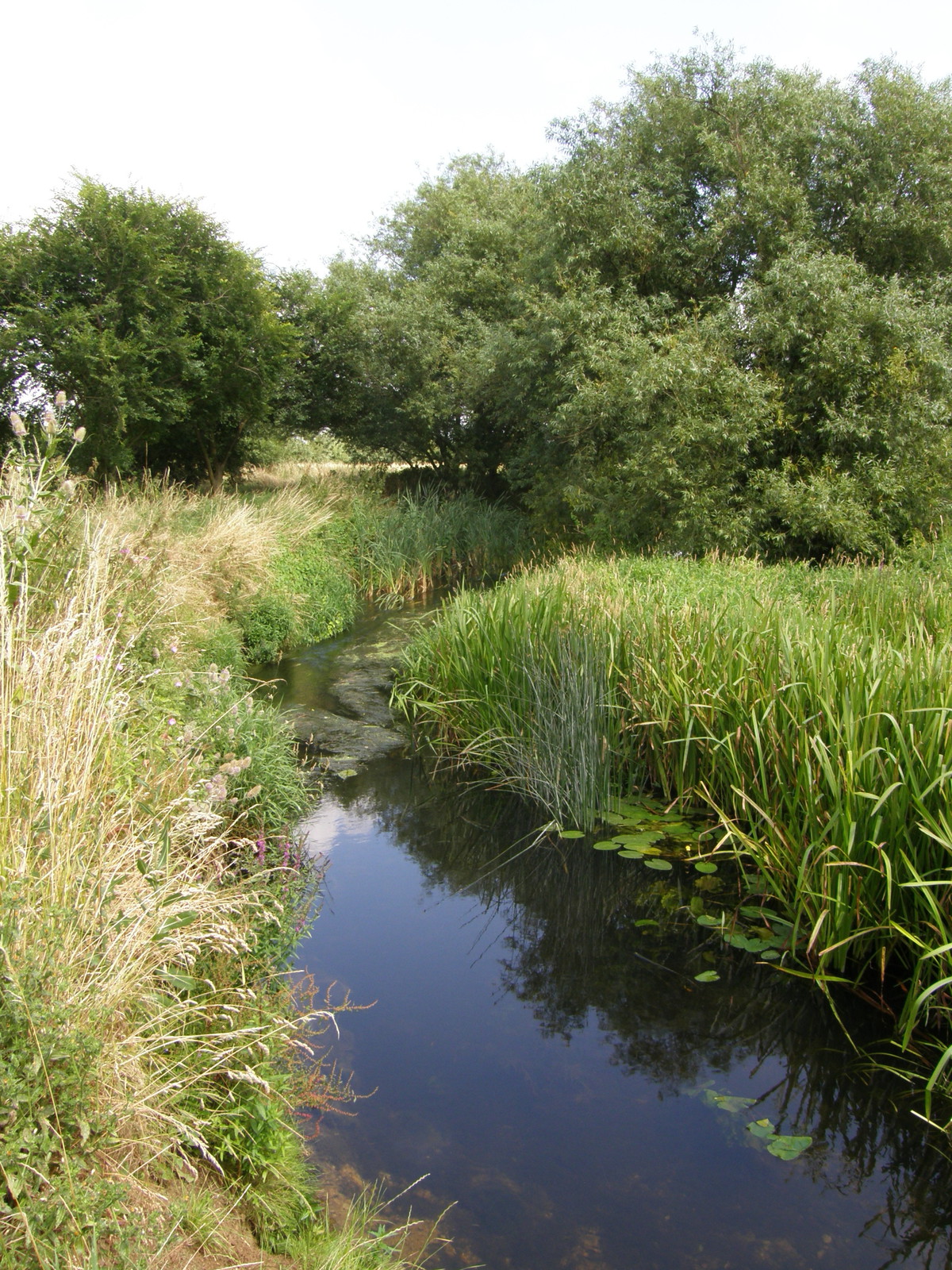 Image from Leytonstone to Debden