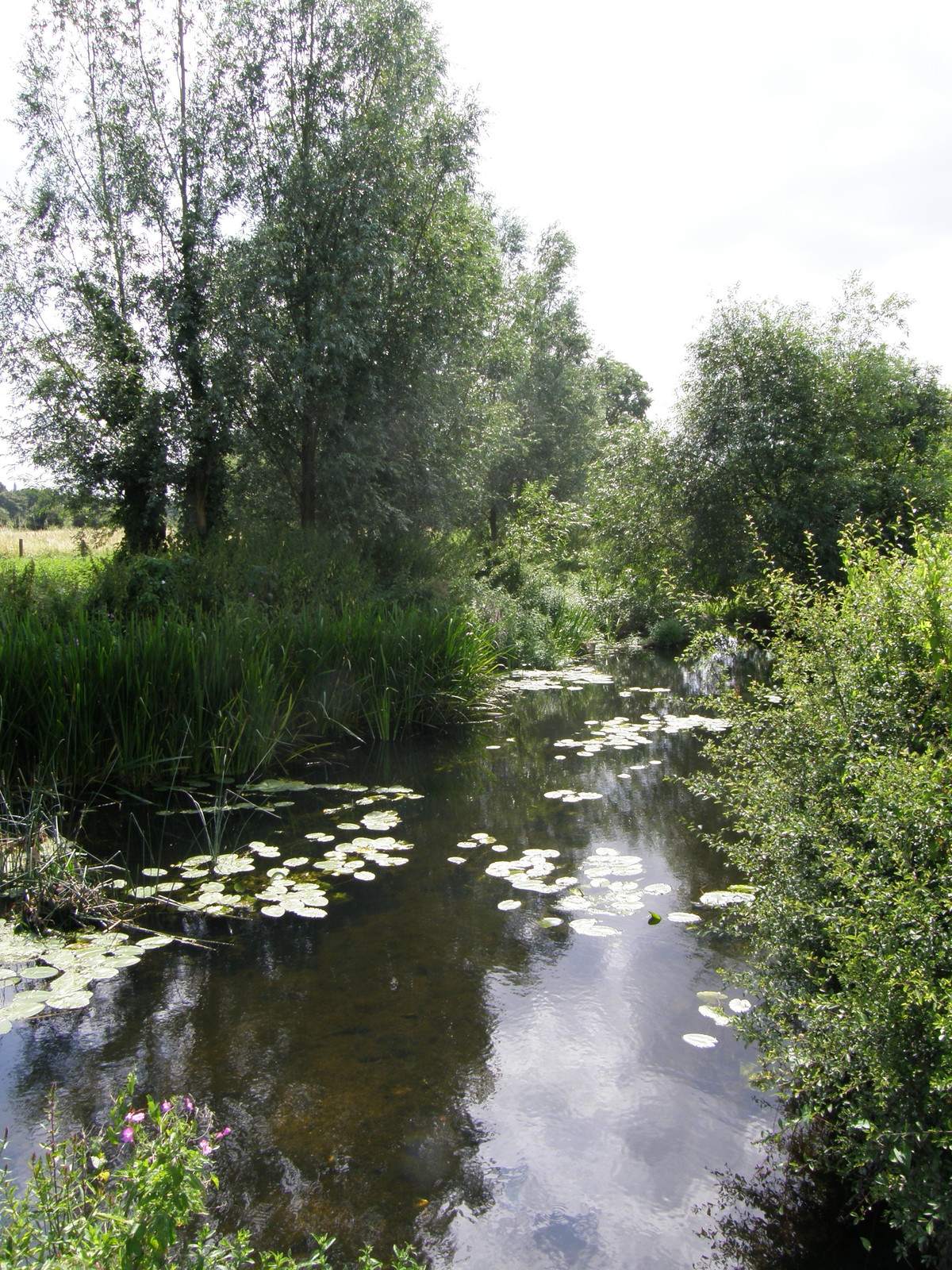 Image from Leytonstone to Debden